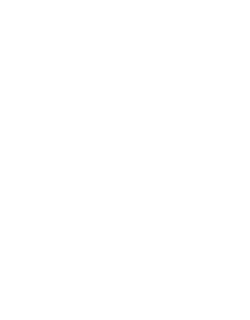 logo iba