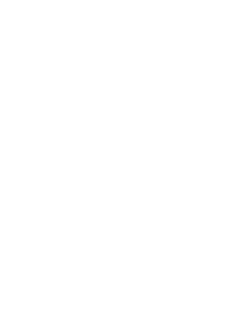 logo roxy